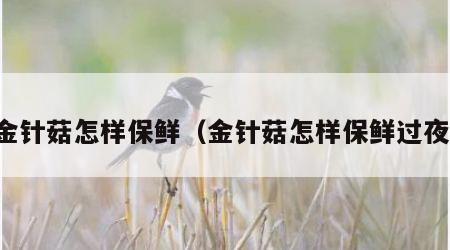 金针菇怎样保鲜（金针菇怎样保鲜过夜）