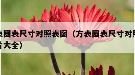 方表圆表尺寸对照表图（方表圆表尺寸对照表图片大全）