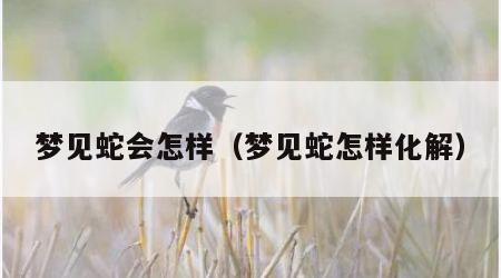 梦见蛇会怎样（梦见蛇怎样化解）