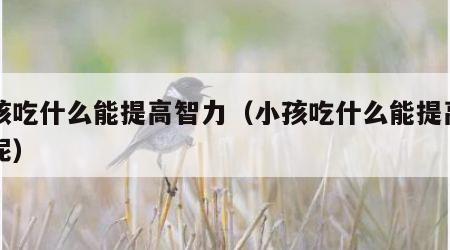 小孩吃什么能提高智力（小孩吃什么能提高智力呢）