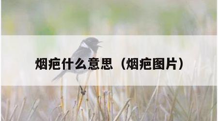 烟疤什么意思（烟疤图片）