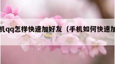 手机qq怎样快速加好友（手机如何快速加人）