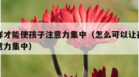 怎样才能使孩子注意力集中（怎么可以让孩子注意力集中）
