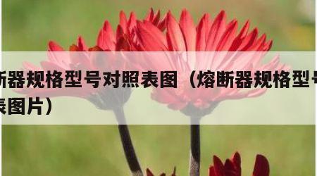 熔断器规格型号对照表图（熔断器规格型号对照表图片）
