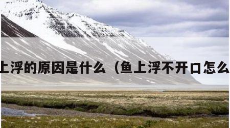 鱼上浮的原因是什么（鱼上浮不开口怎么钓）