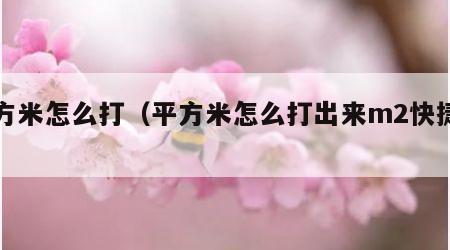 平方米怎么打（平方米怎么打出来m2快捷键）
