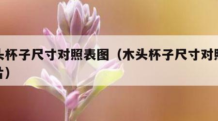 木头杯子尺寸对照表图（木头杯子尺寸对照表图片）