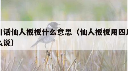 四川话仙人板板什么意思（仙人板板用四川话怎么说）