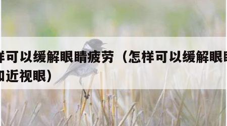怎样可以缓解眼睛疲劳（怎样可以缓解眼睛疲劳和近视眼）