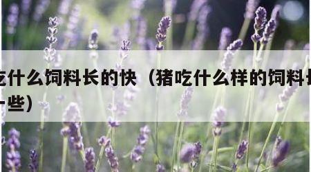 猪吃什么饲料长的快（猪吃什么样的饲料长得快一些）