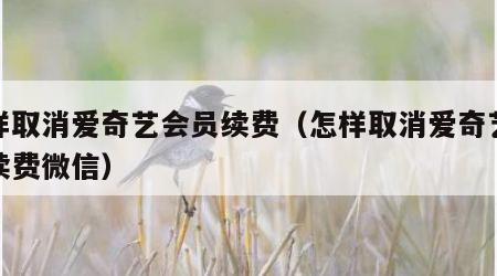 怎样取消爱奇艺会员续费（怎样取消爱奇艺会员续费微信）