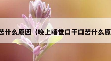 囗苦什么原因（晚上睡觉囗干囗苦什么原因）