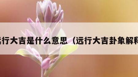 远行大吉是什么意思（远行大吉卦象解释）