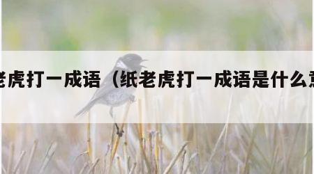 纸老虎打一成语（纸老虎打一成语是什么意思）