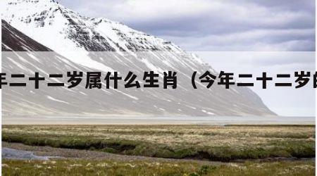 今年二十二岁属什么生肖（今年二十二岁的属啥）
