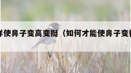 怎样使鼻子变高变挺（如何才能使鼻子变得高挺）