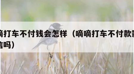 嘀嘀打车不付钱会怎样（嘀嘀打车不付款影响征信吗）