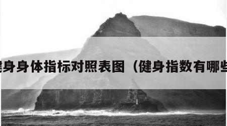 健身身体指标对照表图（健身指数有哪些）