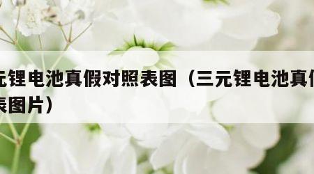 三元锂电池真假对照表图（三元锂电池真假对照表图片）
