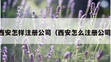 西安怎样注册公司（西安怎么注册公司）