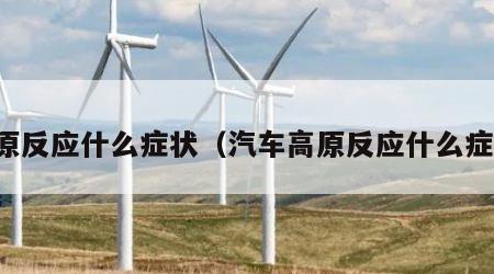 高原反应什么症状（汽车高原反应什么症状）