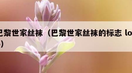 巴黎世家丝袜（巴黎世家丝袜的标志 logo）