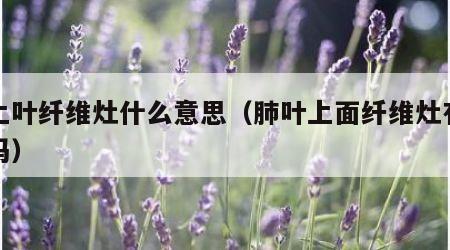 肺上叶纤维灶什么意思（肺叶上面纤维灶有问题吗）