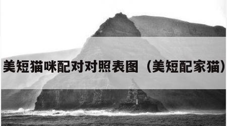 美短猫咪配对对照表图（美短配家猫）