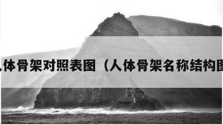 人体骨架对照表图（人体骨架名称结构图）