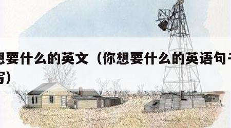 你想要什么的英文（你想要什么的英语句子怎么写）