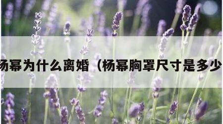 杨幂为什么离婚（杨幂胸罩尺寸是多少）