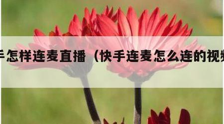 快手怎样连麦直播（快手连麦怎么连的视频直播）