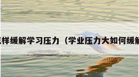 怎样缓解学习压力（学业压力大如何缓解）