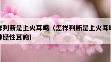 怎样判断是上火耳鸣（怎样判断是上火耳鸣还是神经性耳鸣）