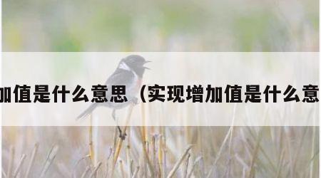 增加值是什么意思（实现增加值是什么意思）
