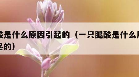 腿酸是什么原因引起的（一只腿酸是什么原因引起的）
