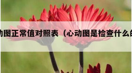 心动图正常值对照表（心动图是检查什么的图）