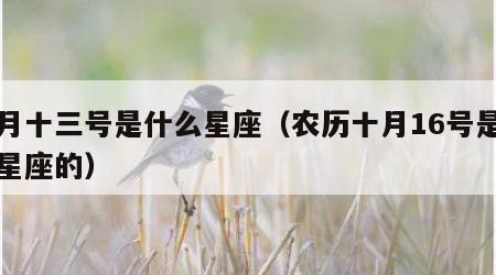 二月十三号是什么星座（农历十月16号是什么星座的）