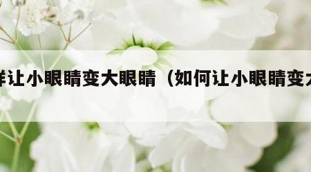 怎样让小眼睛变大眼睛（如何让小眼睛变大眼睛）