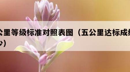 五公里等级标准对照表图（五公里达标成绩是多少）