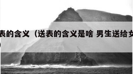 送表的含义（送表的含义是啥 男生送给女生的）