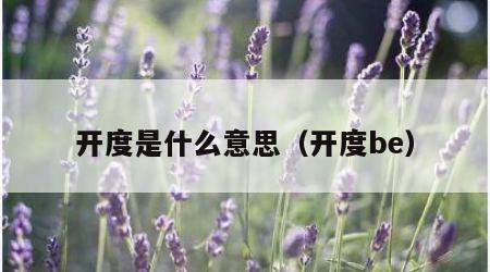 开度是什么意思（开度be）