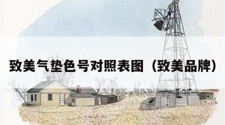 致美气垫色号对照表图（致美品牌）