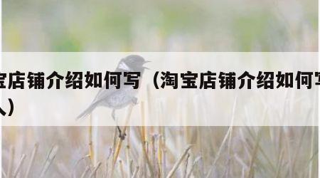 淘宝店铺介绍如何写（淘宝店铺介绍如何写吸引人）