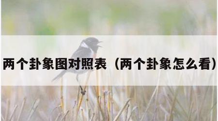 两个卦象图对照表（两个卦象怎么看）