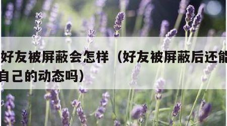 qq好友被屏蔽会怎样（好友被屏蔽后还能看到自己的动态吗）