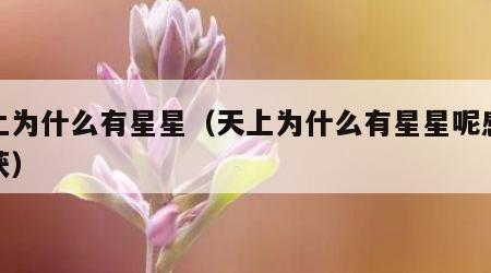 天上为什么有星星（天上为什么有星星呢感想收获）