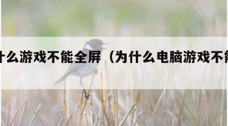 为什么游戏不能全屏（为什么电脑游戏不能全屏）