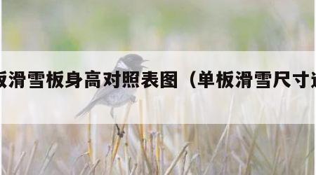 单板滑雪板身高对照表图（单板滑雪尺寸选择）