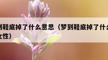 梦到鞋底掉了什么意思（梦到鞋底掉了什么意思女性）